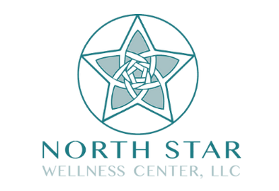 North Star Wellness  Center Company Logo by Manar Aboul-Nour in Detroit MI